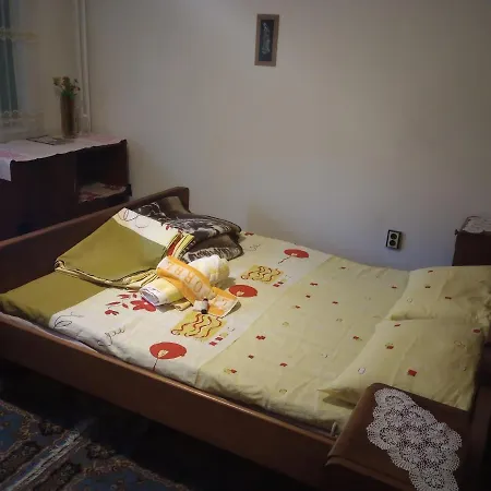 Apartment Chayka Sea Garden- Entire Flat Or Spacious Private Or 3-bed Dorm- Big Balcony
